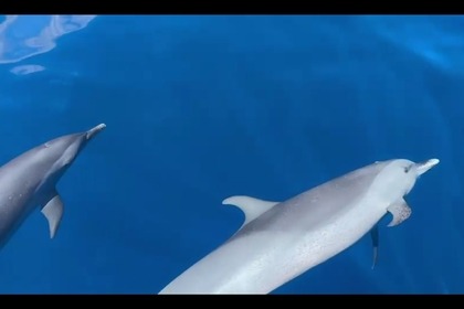 Explore the Caribbean in Style with the Lavezzi 40 Catamaran!