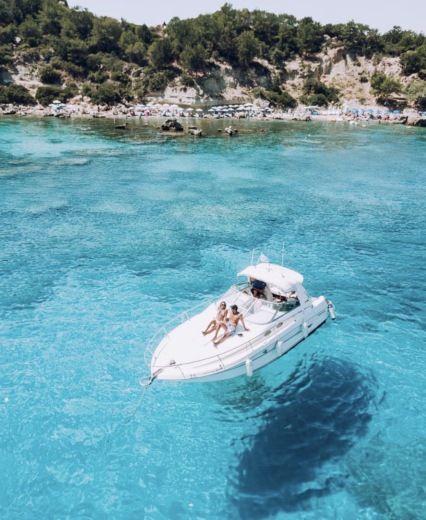 Motorboat Searay 290 Boat layout