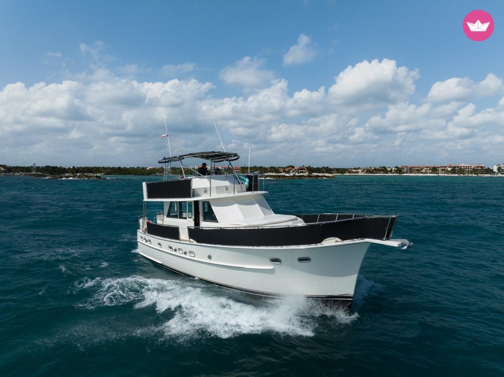 Czarter 58