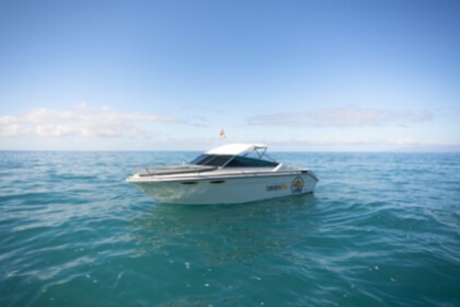 Rental Motorboat Sea Ray 220 Adeje