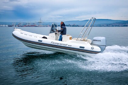 Charter RIB Tempest Capelli Capelli 600 Orebić