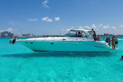 Charter Motorboat Sea Ray SUNDANCER Cancún