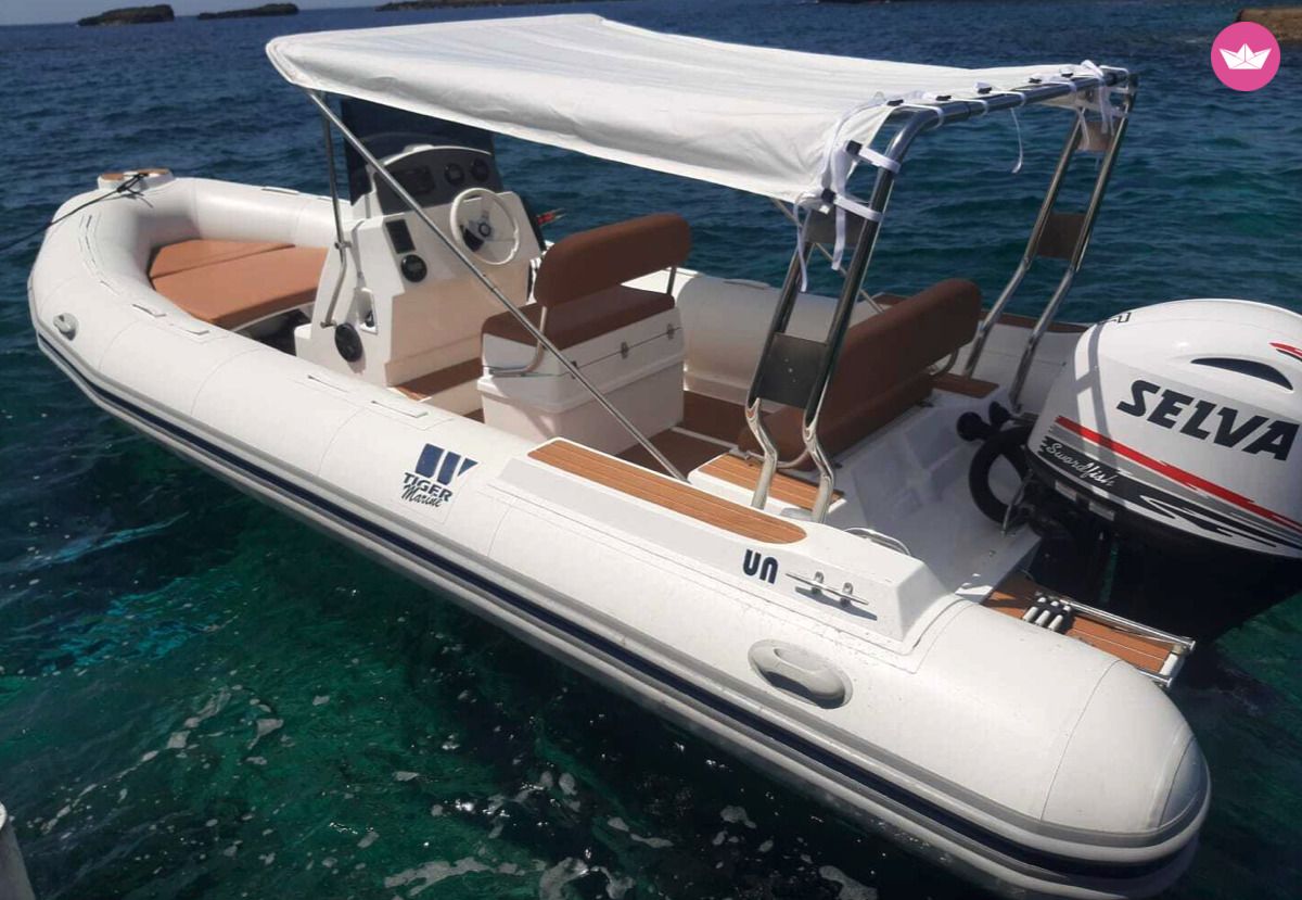Semi-rigide Tiger Marine 115cv 6
