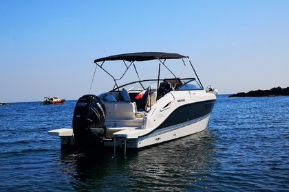 Quicksilver Activ 805 de 2019