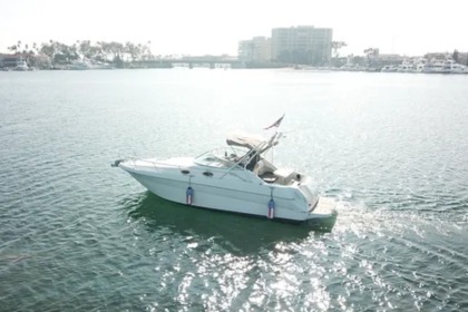 Hire Motorboat Sea Ray Sundancer 270-29' Newport Beach