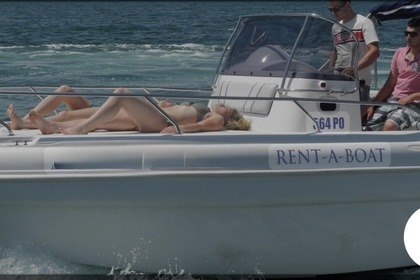 Rental Motorboat Ranieri Ranieri 24 Shadow Torre del Greco