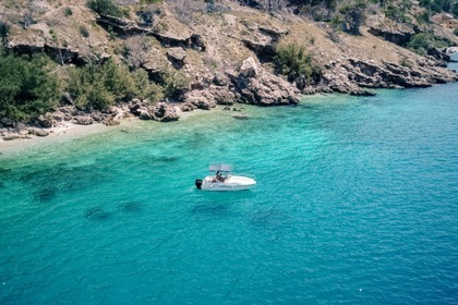 Quicksilver 525 Commander