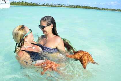 WHALES IN SAMANA FROM JANUARY TO APRIL, WHALES VISIT US. THEY COME EVERY YEAR TO MATE AND GIVE BIRTH. ENJOY THE SHOW IN COMFORT. HAITISES AND CAYO LEVANTADO AND THE WHALES