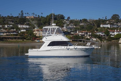 Miete Motorboot Riviera 33 Flybrige Saint-Tropez