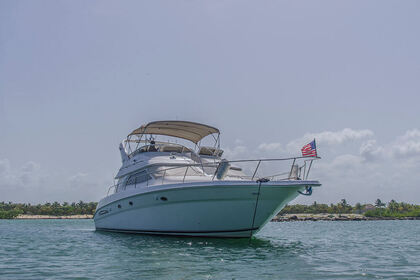 Rental Motor yacht Sea Ray 450 Puerto Aventuras