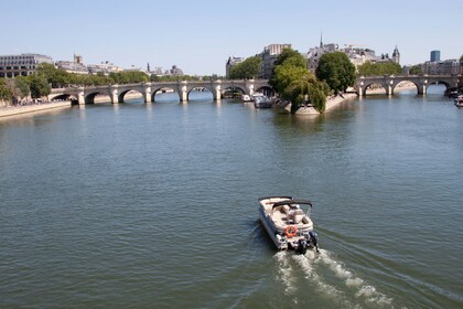 Czarter Łódź motorowa Suntracker Party Barge 24 feet Paryż