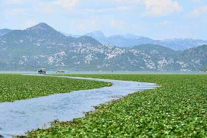 Explore Skadar lake with us!