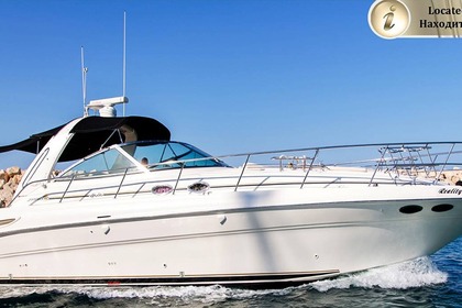 Charter Motorboat Sea Ray 455 Larnaca