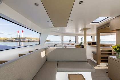 NEEL 47 vintage 2024