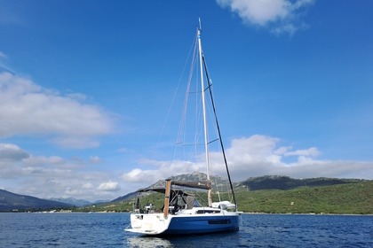 Polygala - Dufour 37