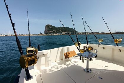 Rental Motorboat Rodman Rodman 1170 Sotogrande