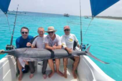 Rondleidingen en safari's in Panama