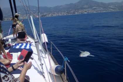 LAMACARENA from €300