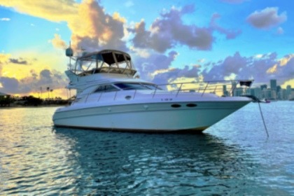 Rental Motor yacht Sea Ray 400 Fly Miami
