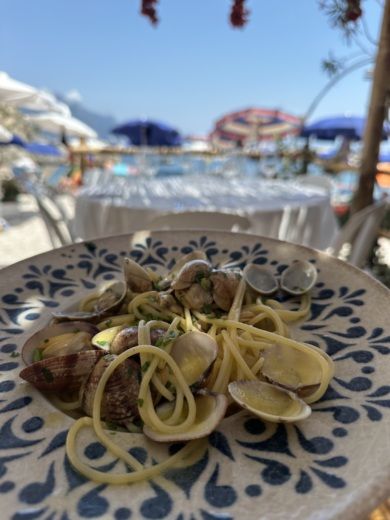 Amalfi Motorboat Apreamare 100 alt tag text