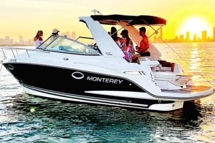 Rental Motorboat Monterey 29 Miami