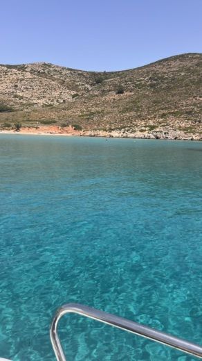 Kos Without license Karel F19 alt tag text