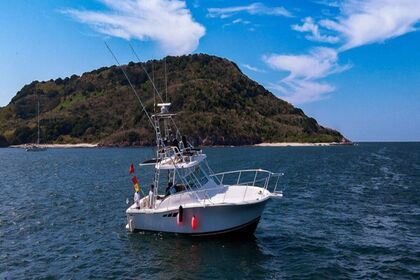 Luhrs 420 Sportfisher