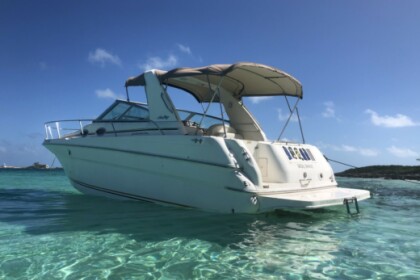 Hire Motorboat Sea Ray 290 Sun Sport Nassau