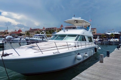 Hire Motor yacht Sea Ray 1997 Cancún
