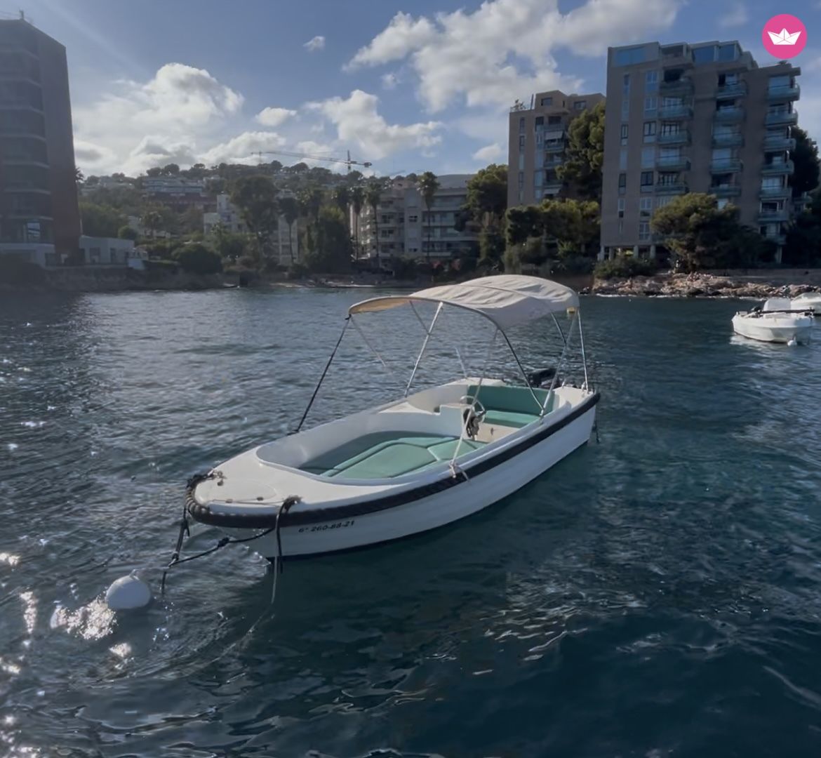 Bateau sans permis Elan Pasara 490 15cv 6