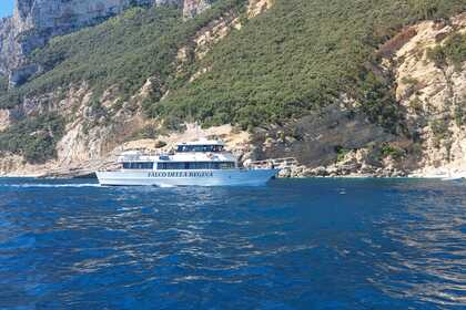 Motonave Falco della Regina