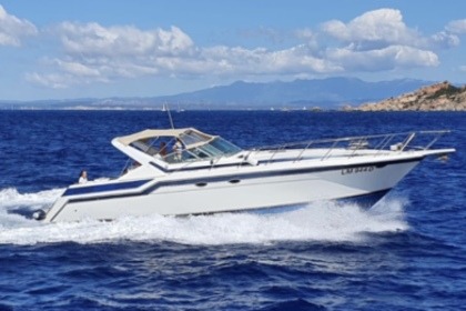 Charter Motorboat Wellcraft 43 Portofino Ameglia