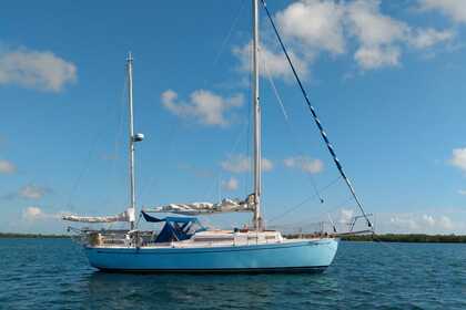 Charter Sailboat Grampian Triangle 32 Belize