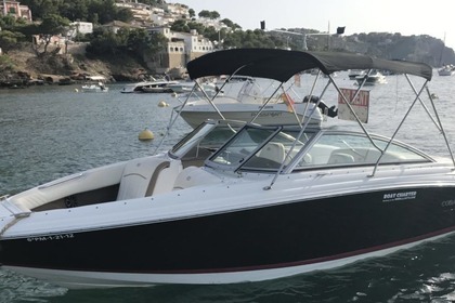 Hire Motorboat COBALT 222 Port d'Andratx