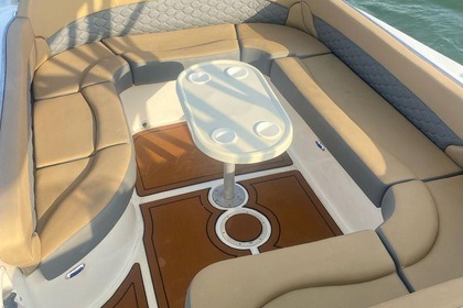 Bote deportivo de lujo hasta 20 personas