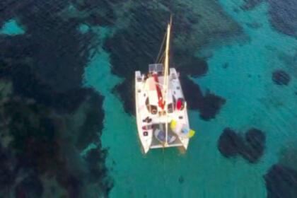 Catamaran sortie voile journée