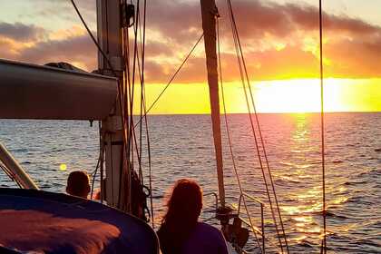 Sailing Tour 8 (hours)