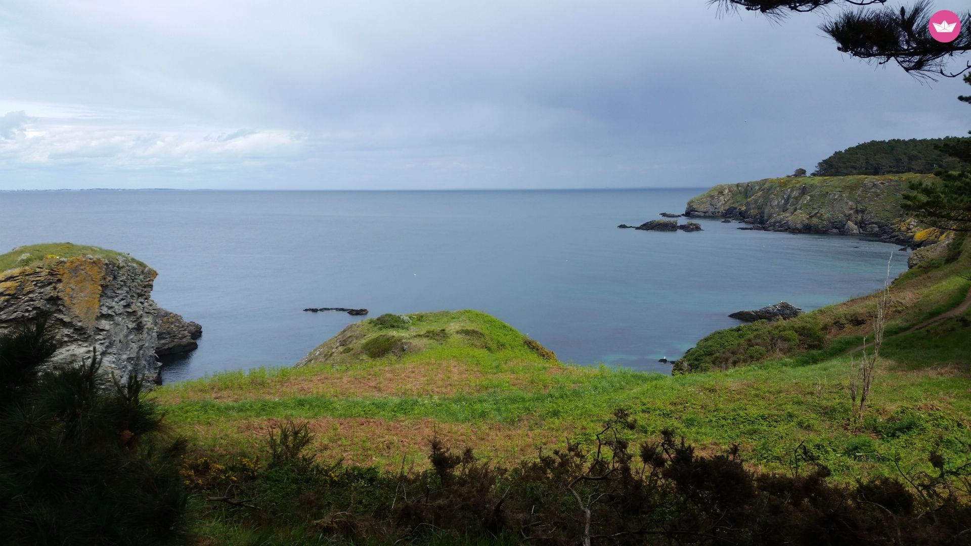 Чартер Zodiac Pro Open 650