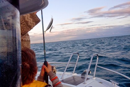 Pêche Promenade Barracuda 7