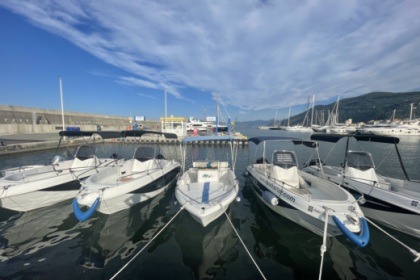 sessa marine key largo