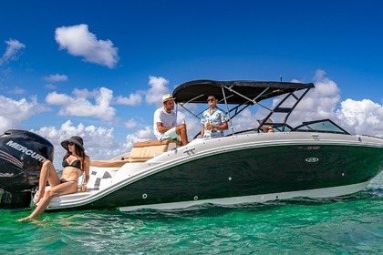 Rental Motorboat Sea Ray 29 Miami Beach