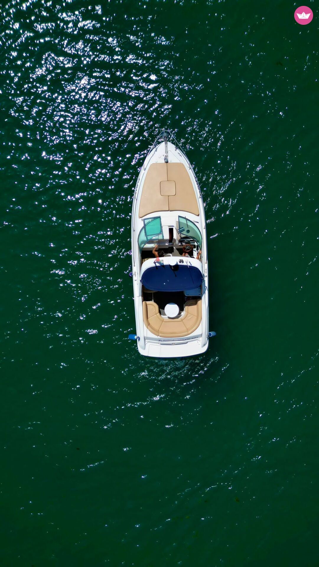 Bateau à moteur Sea Ray 280 Sunsport 300cv 6