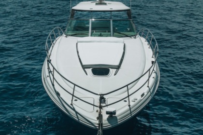 Charter Motorboat Sea Ray Sundancer 455 Ayia Napa