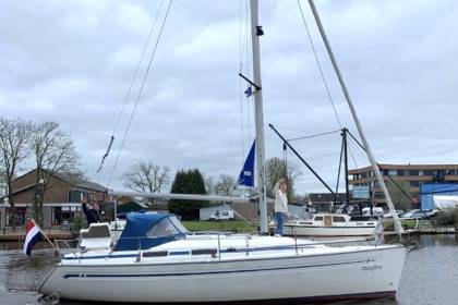 Noleggio Barca a vela Bavaria 31 Cruiser Amsterdam