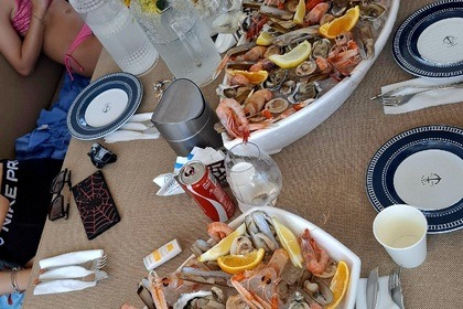 Versil Falcon 80 fly Refit