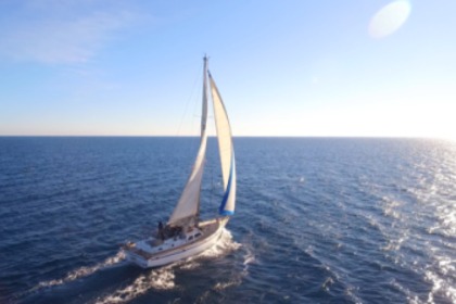 Charter Sailboat PRICE YACHTS MC ARTHUR 45 Ibiza
