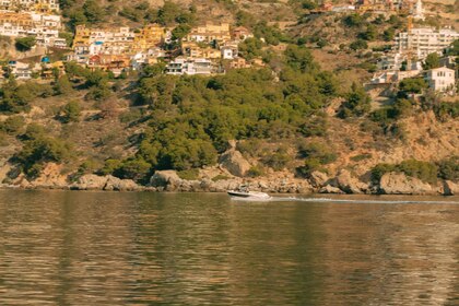 Alquiler Lancha Bayliner 235 Bowrider La Herradura