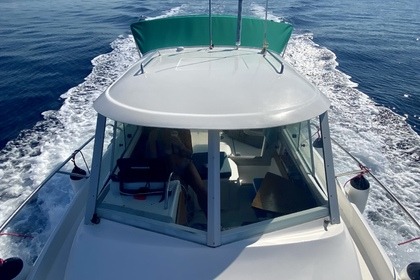 Ocqueteau 645 (4 HOUR TOURS)