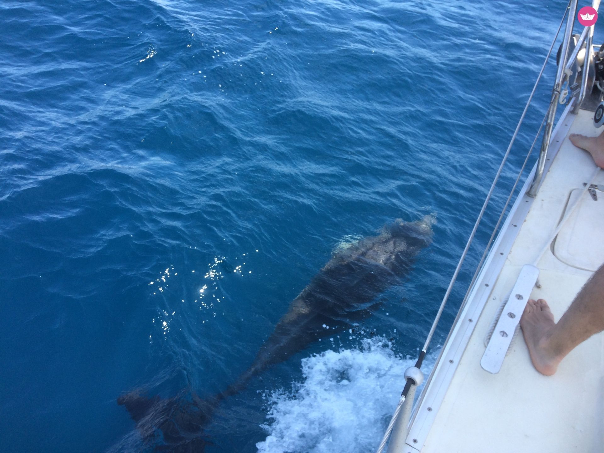 Sailboat Dromor Triton 48 for hire