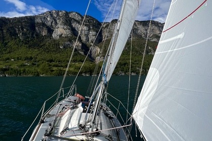 Noleggio Barca a vela Shamrock 9.5 Mühlehorn